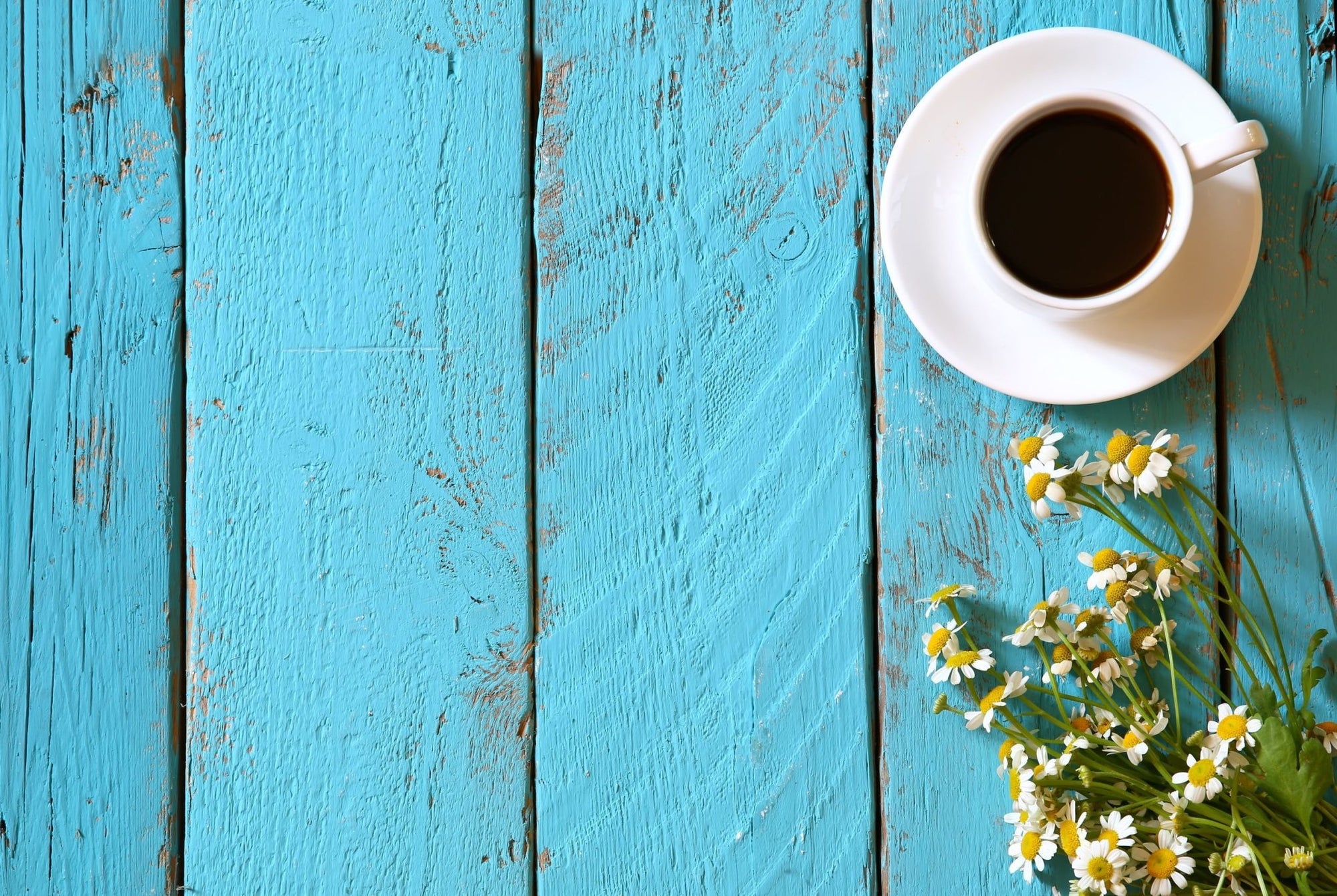 5 Inspirational Ideas For Zero Waste Summertime Activities - Pandemic Edition - Zero Waste Outlet