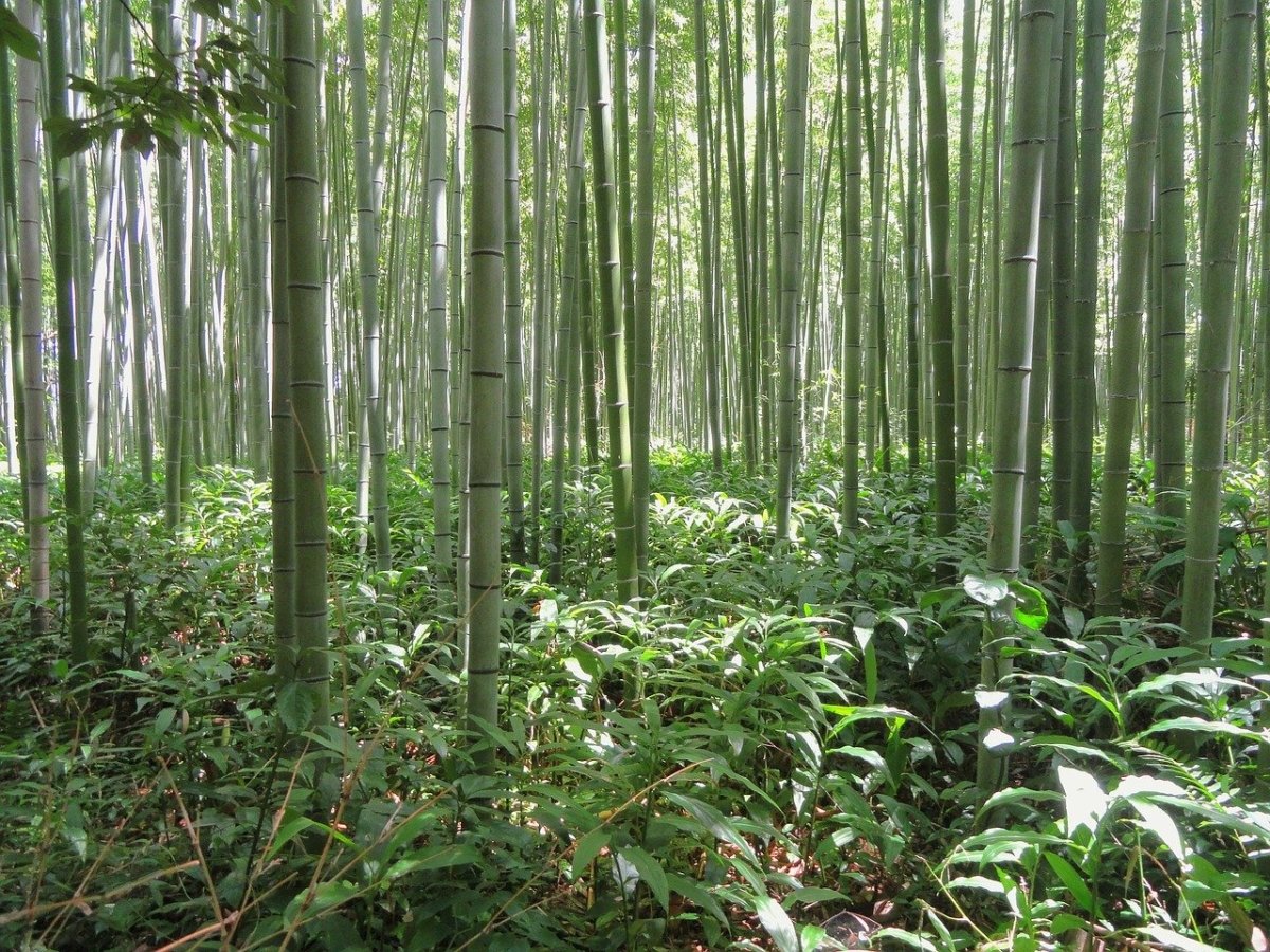 Why We Source Some Zero Waste Products Overseas - Zero Waste Outlet