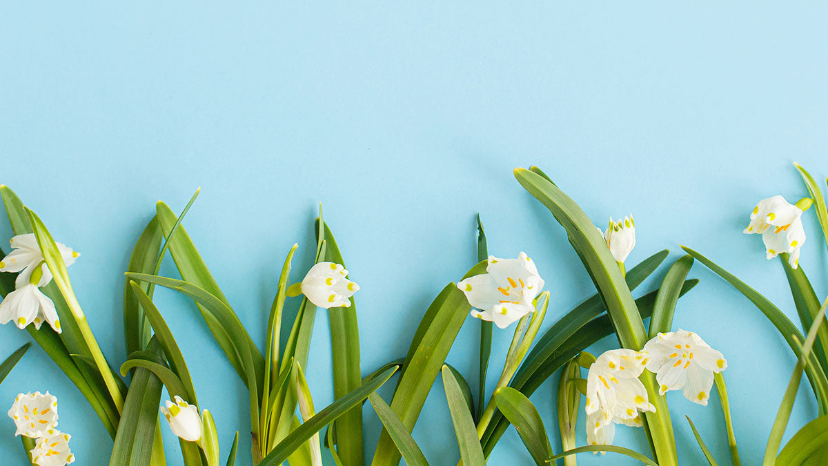 popular zero-waste swaps