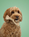 BetterBone MEDIUM Durability CHEW TOY - Zero Waste Outlet