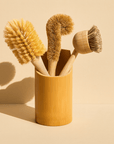 The Zero - Waste Brush Kit - Zero Waste Outlet