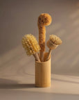 The Zero - Waste Brush Kit - Zero Waste Outlet