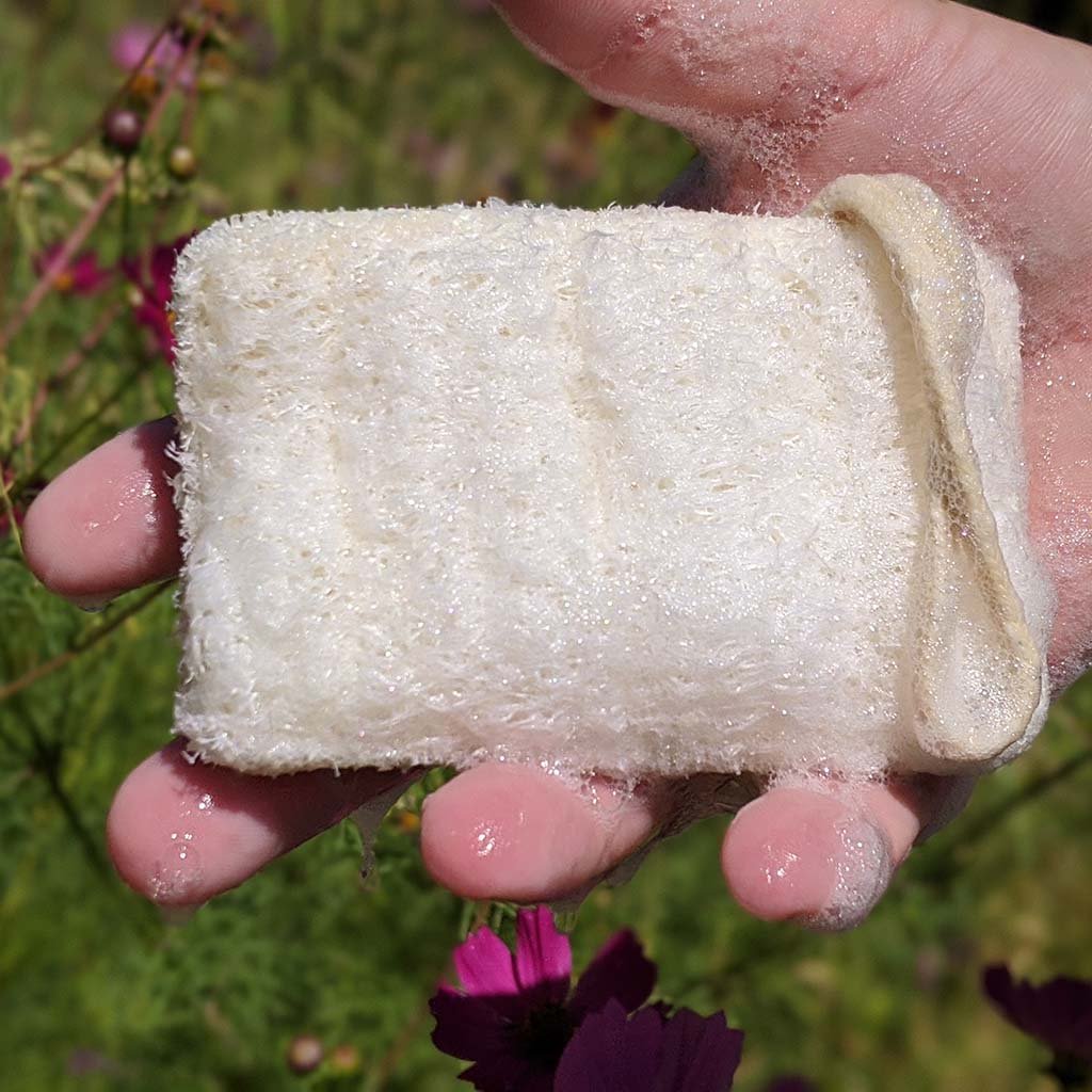6 Pcs Cotton Sponge Pot Scrubbers Body Wash Double Sided Cleaning Sponges