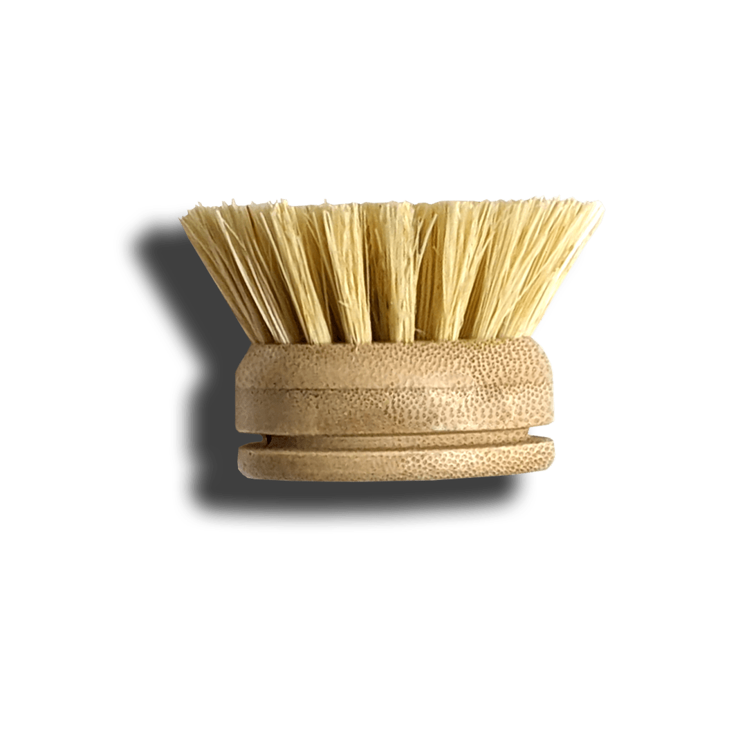 Screw-In Replacement Head For Modular Dish Brush - Zero Waste Outlet
