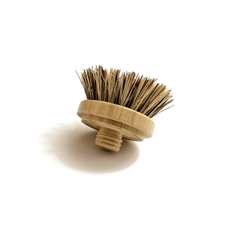 http://zerowasteoutlet.com/cdn/shop/products/replacement-heads-for-modular-scrub-brushes-838829.png?v=1670034401