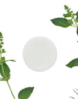 Rosemary & Mint Conditioner Bar - Vegan - Zero Waste Outlet
