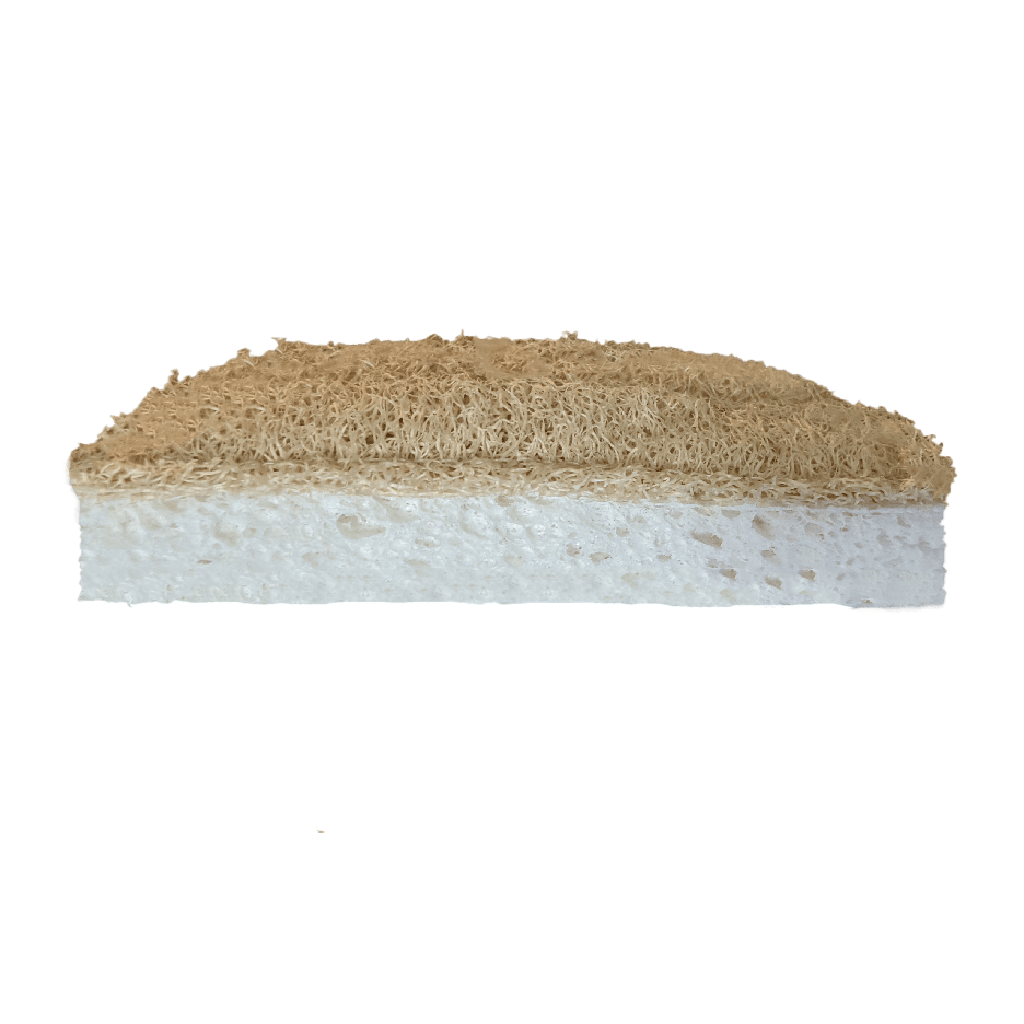 Two-Sided Eco-Sponge 2-Pack - Zero Waste Outlet