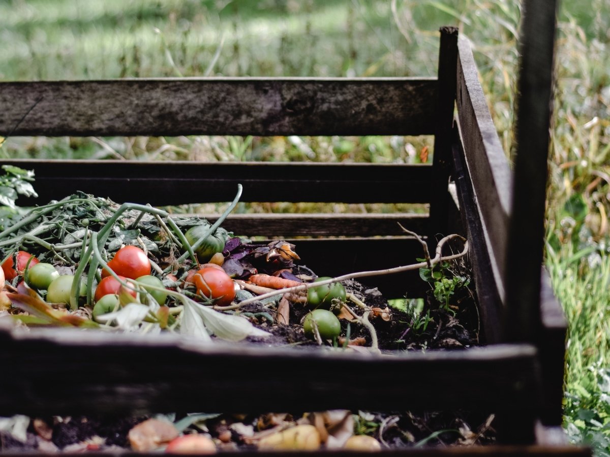 Composting Simplified: How to Start and Maintain Your Compost with Ease - Zero Waste Outlet