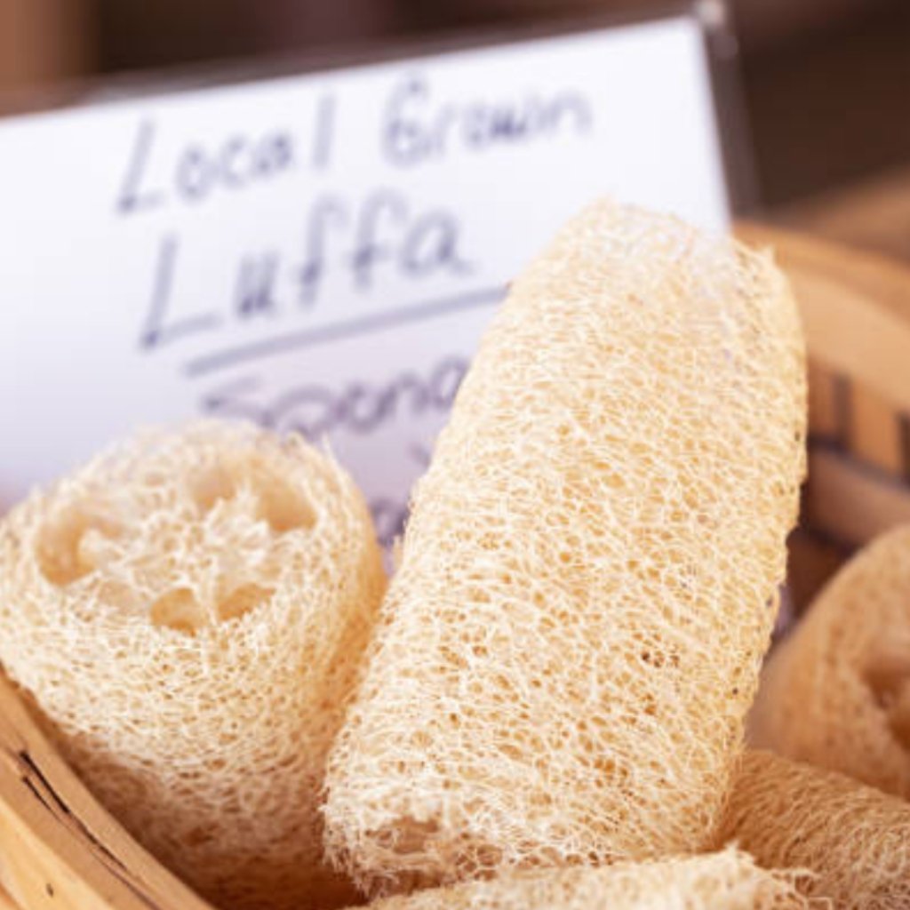 How Sustainable Are Non-Plastic Loofahs? - Zero Waste Outlet