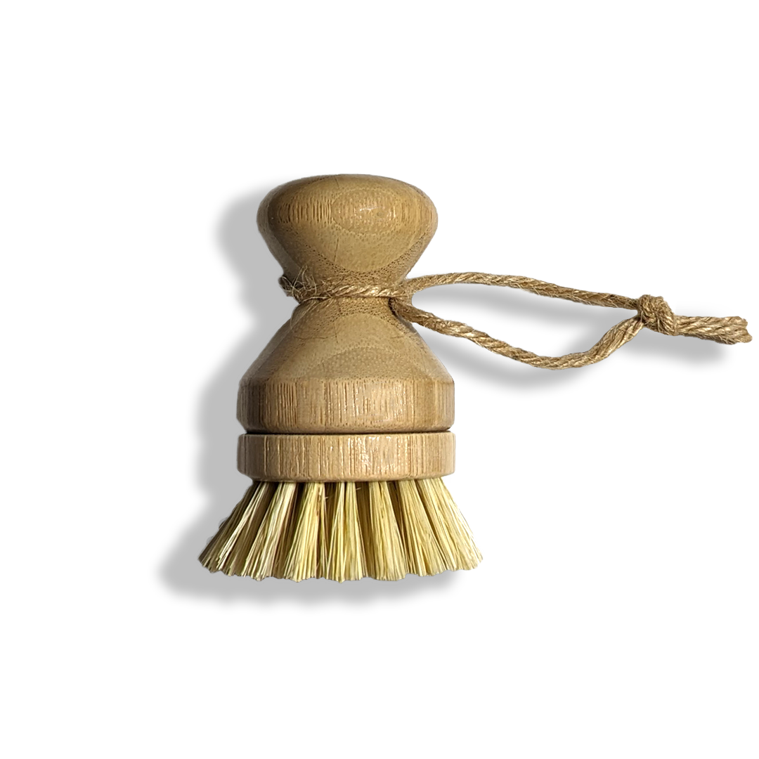 Modular Palm Pot Scrub Brush