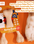 BetterBone HARD CHEW TOY - Zero Waste Outlet