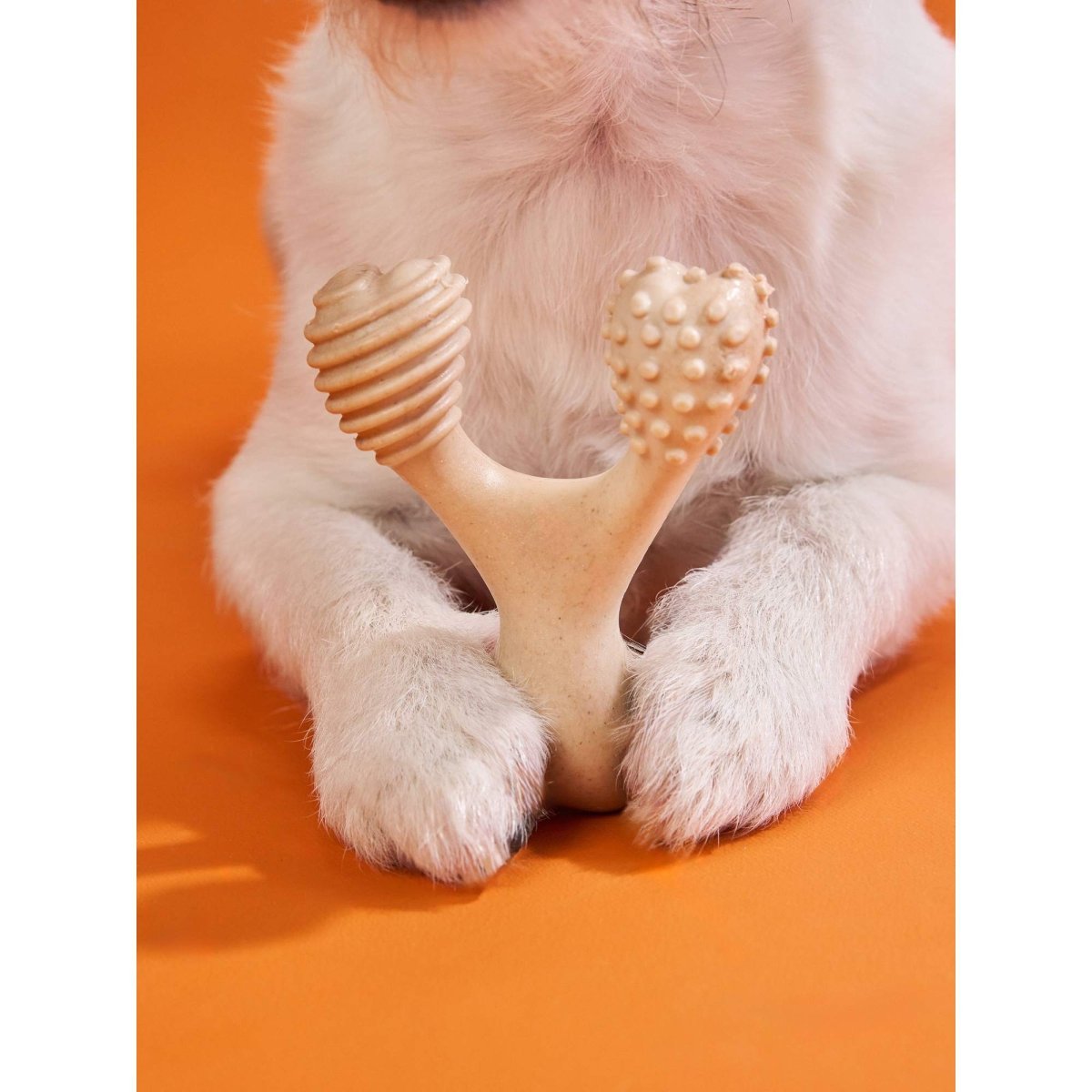 BetterBone HARD CHEW TOY - Zero Waste Outlet