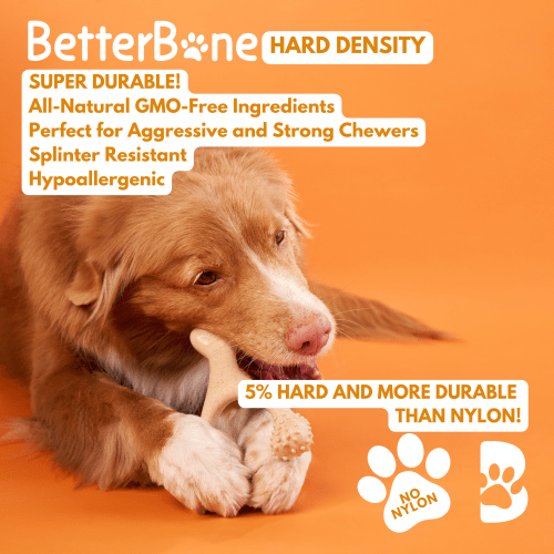BetterBone HARD CHEW TOY - Zero Waste Outlet
