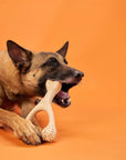 BetterBone HARD CHEW TOY - Zero Waste Outlet