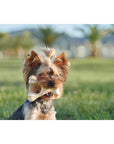 BetterBone HARD CHEW TOY - Zero Waste Outlet