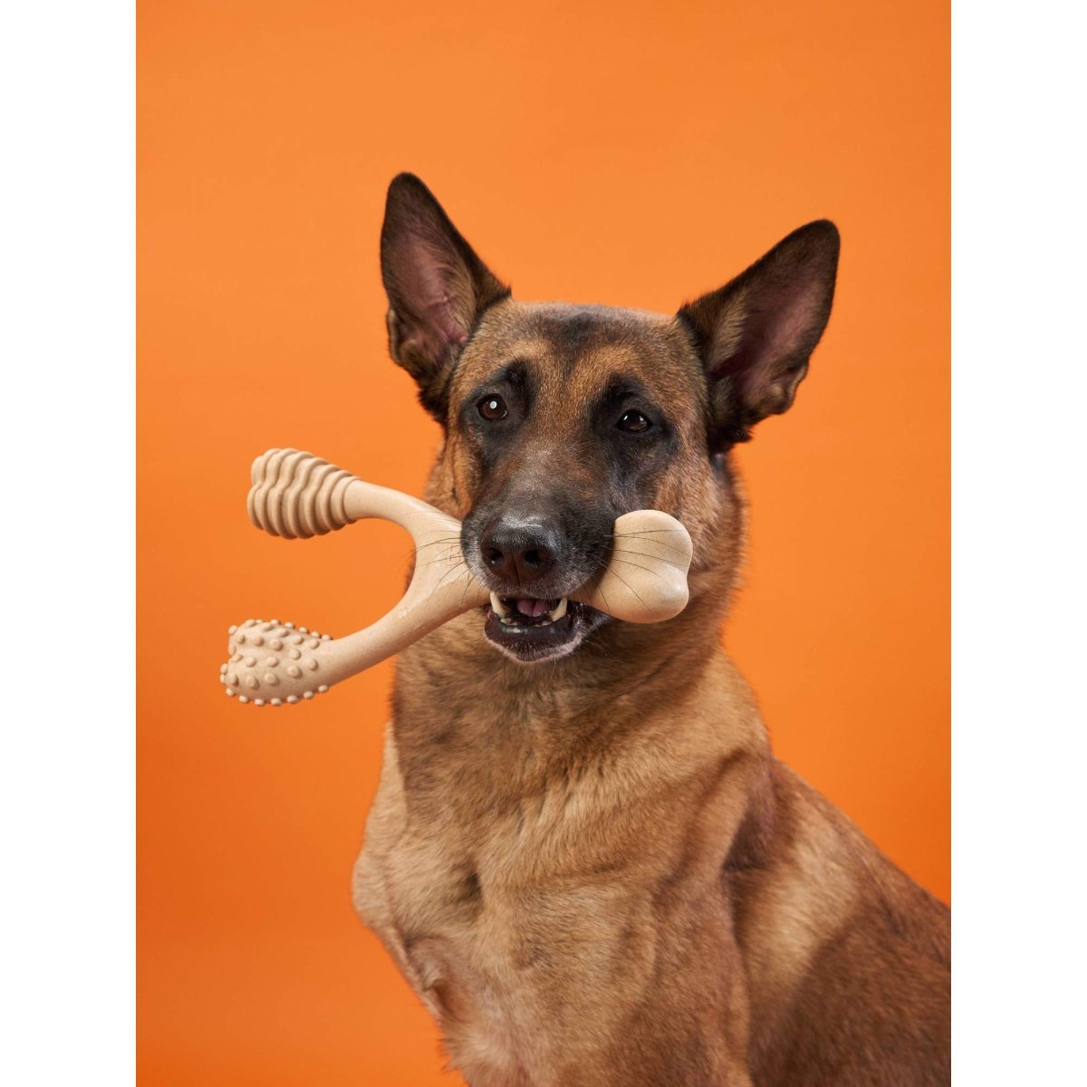 BetterBone HARD CHEW TOY - Zero Waste Outlet