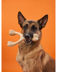 BetterBone HARD CHEW TOY - Zero Waste Outlet