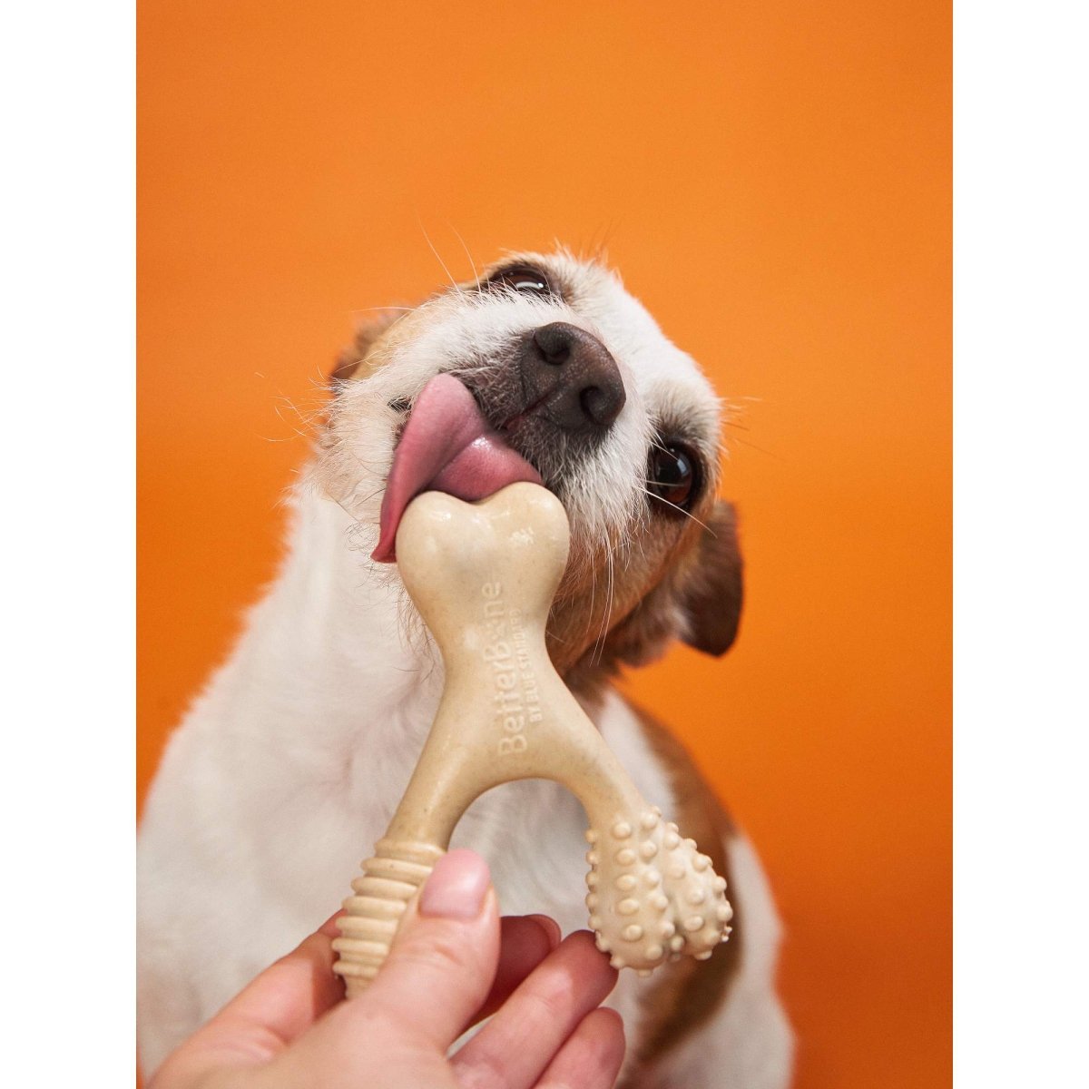 BetterBone HARD CHEW TOY - Zero Waste Outlet