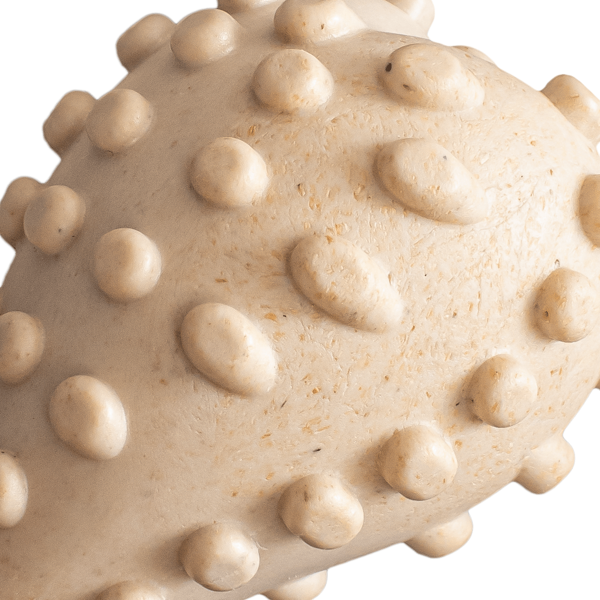BetterBone HARD CHEW TOY - Zero Waste Outlet