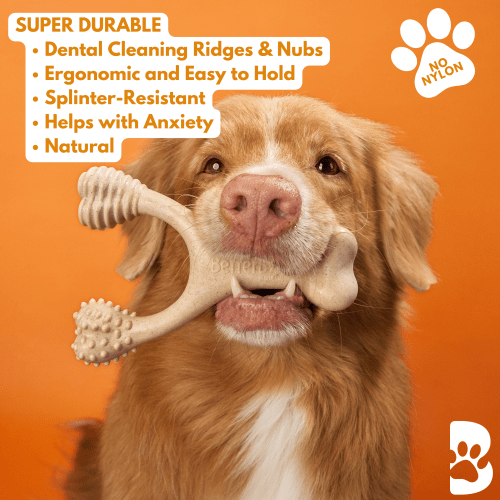BetterBone HARD CHEW TOY - Zero Waste Outlet