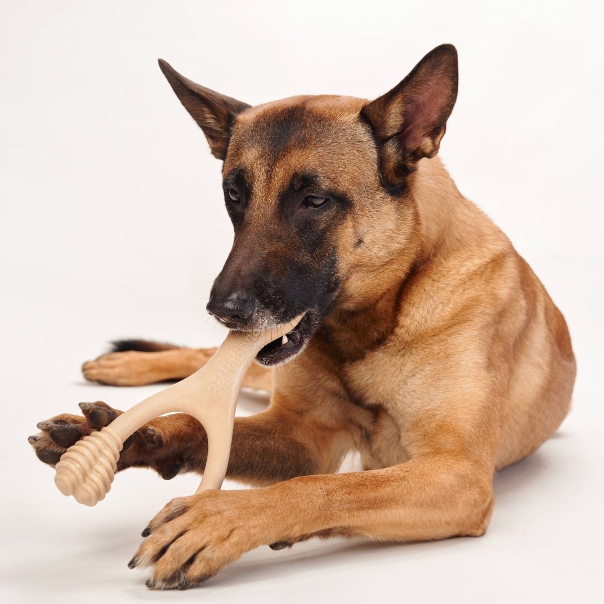 BetterBone MEDIUM Durability CHEW TOY - Zero Waste Outlet