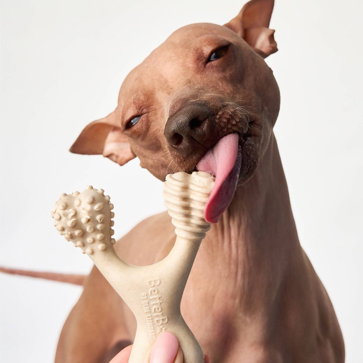 BetterBone MEDIUM Durability CHEW TOY - Zero Waste Outlet