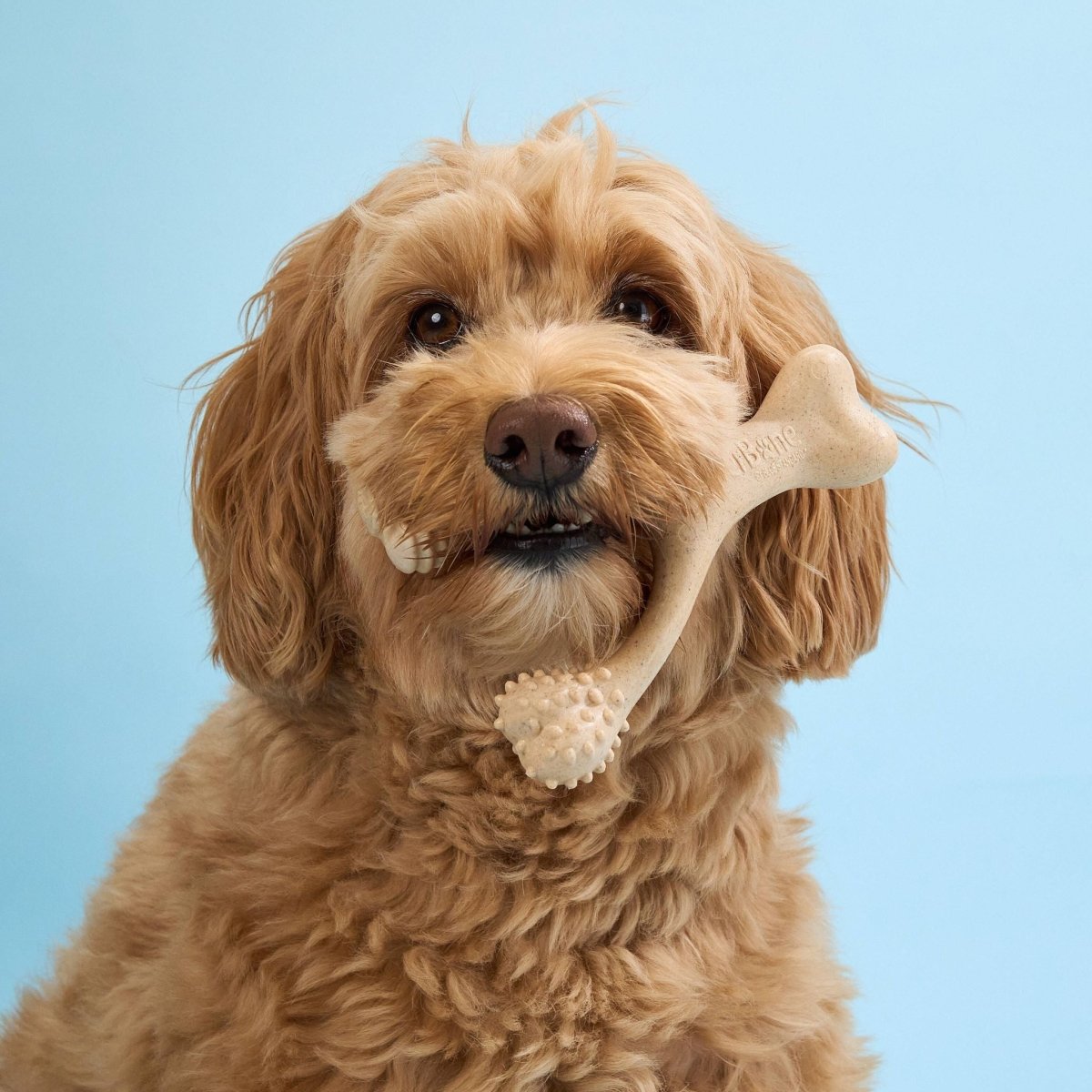 BetterBone SOFT Durability CHEW TOY - Zero Waste Outlet