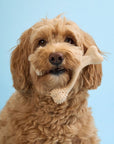 BetterBone SOFT Durability CHEW TOY - Zero Waste Outlet