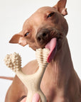 BetterBone SOFT Durability CHEW TOY - Zero Waste Outlet