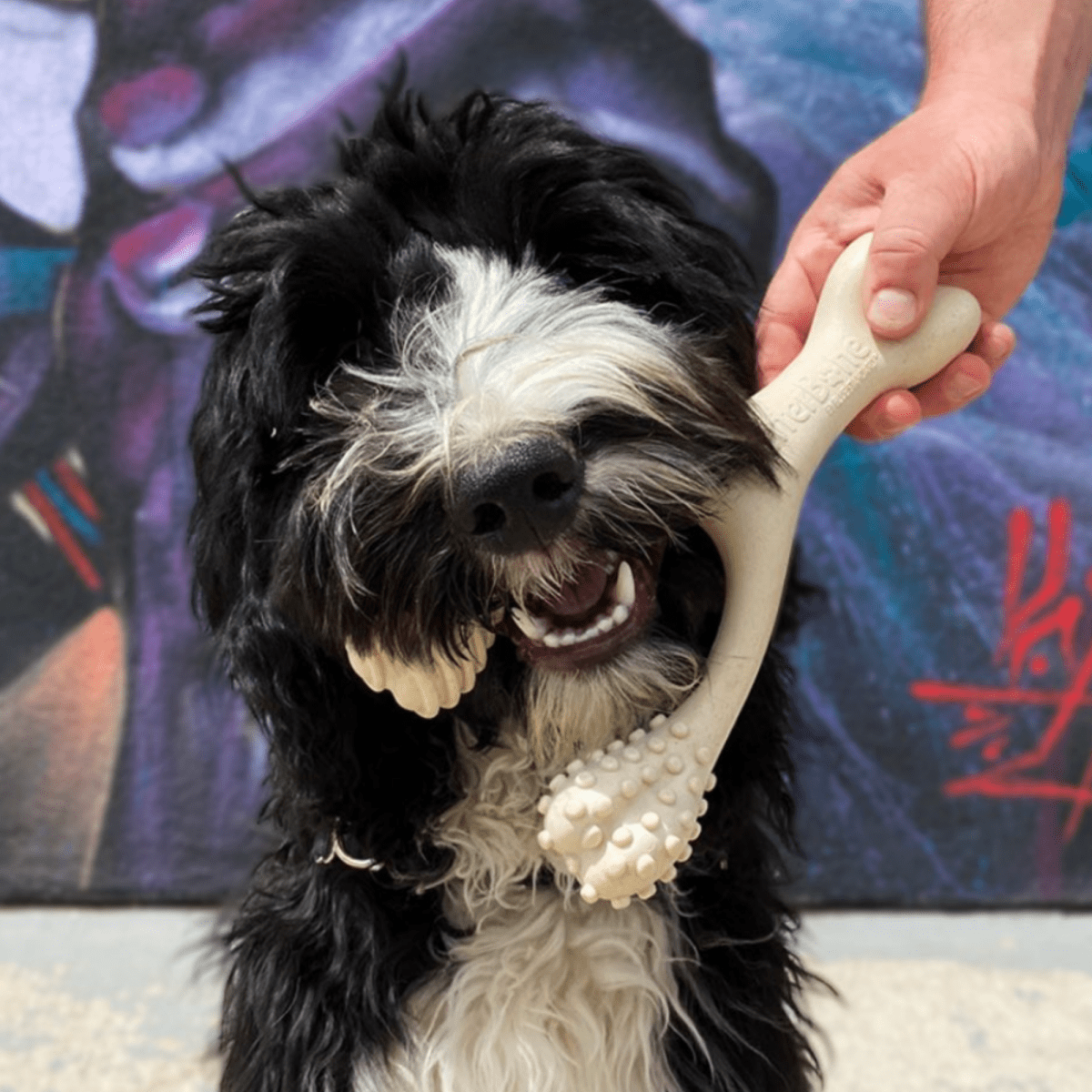 BetterBone SOFT Durability CHEW TOY - Zero Waste Outlet