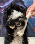 BetterBone SOFT Durability CHEW TOY - Zero Waste Outlet