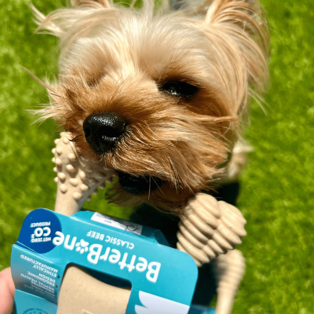 BetterBone SOFT Durability CHEW TOY - Zero Waste Outlet