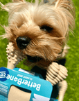 BetterBone SOFT Durability CHEW TOY - Zero Waste Outlet