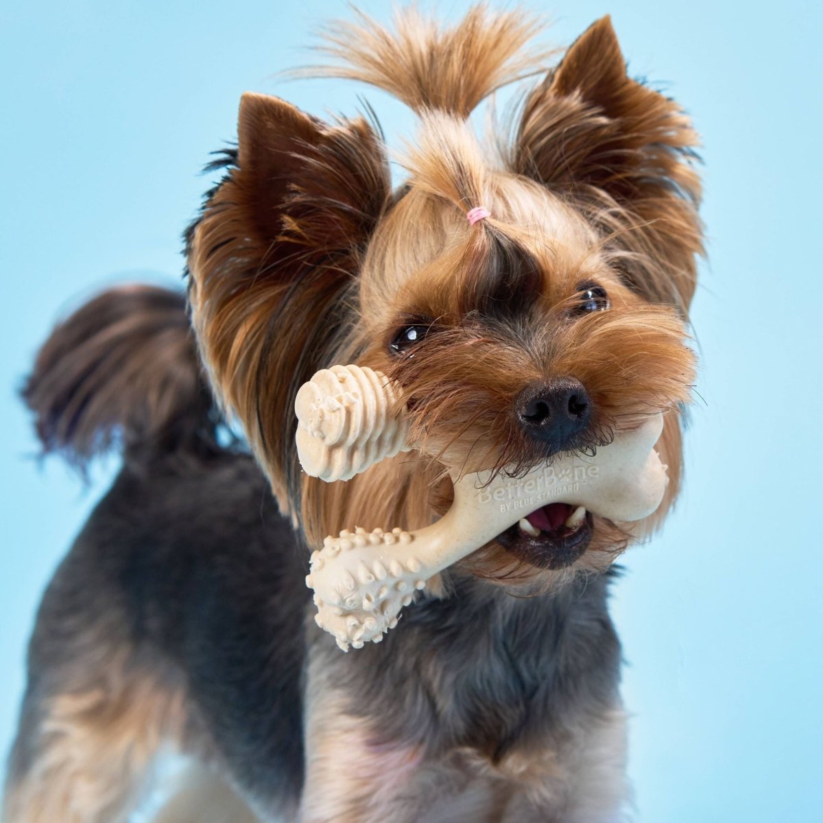 BetterBone SOFT Durability CHEW TOY - Zero Waste Outlet