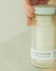 EUCALYPTUS STEAM® Cleansing vapors for the shower® - Normal Jar - No Tox Life® - Zero Waste Outlet