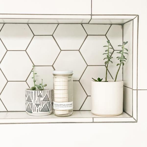 EUCALYPTUS STEAM® Cleansing vapors for the shower® - Normal Jar - No Tox Life® - Zero Waste Outlet