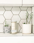 EUCALYPTUS STEAM® Cleansing vapors for the shower® - Normal Jar - No Tox Life® - Zero Waste Outlet