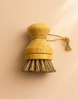 Modular Palm Pot Scrub Brush - Zero Waste Outlet