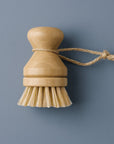 Modular Palm Pot Scrub Brush - Zero Waste Outlet