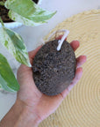 Natural Lava Pumice Stone for Feet - Plastic-Free with Cotton Loop - Zero Waste Outlet