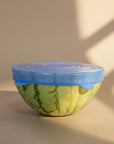 Zero Waste Outlet blue silicone stretchy lid covering a half-cut watermelon on a neutral background.
