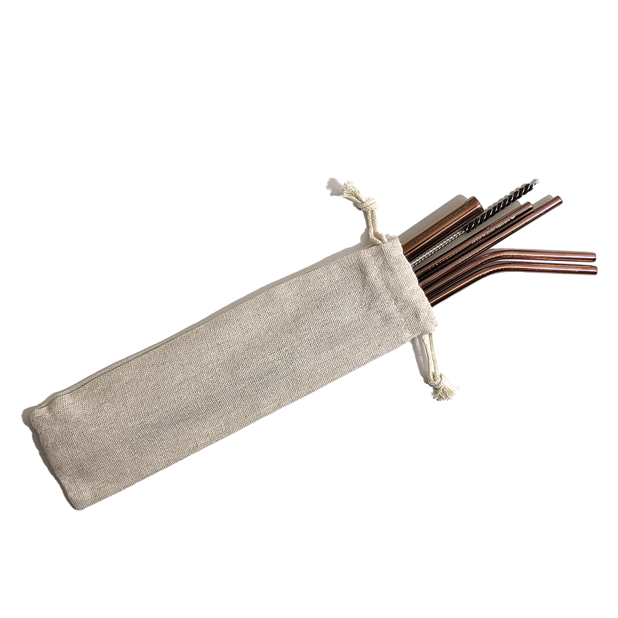 Metal Straw Set With Pouch
