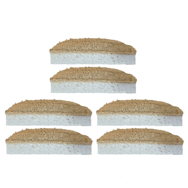 How Eco-Friendly is Your Dish Sponge? 5 Reasons Give Up Plastic Sponge –  Zero Waste Outlet