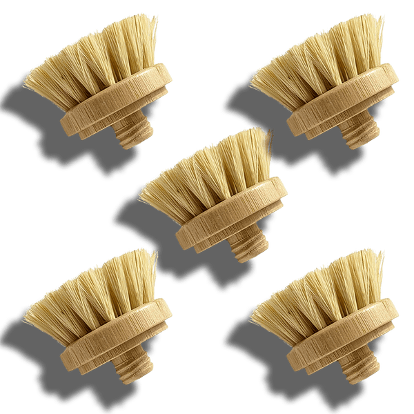 https://zerowasteoutlet.com/cdn/shop/products/replacement-screw-on-heads-for-modular-bamboo-brushes-793563_grande.png?v=1698878579