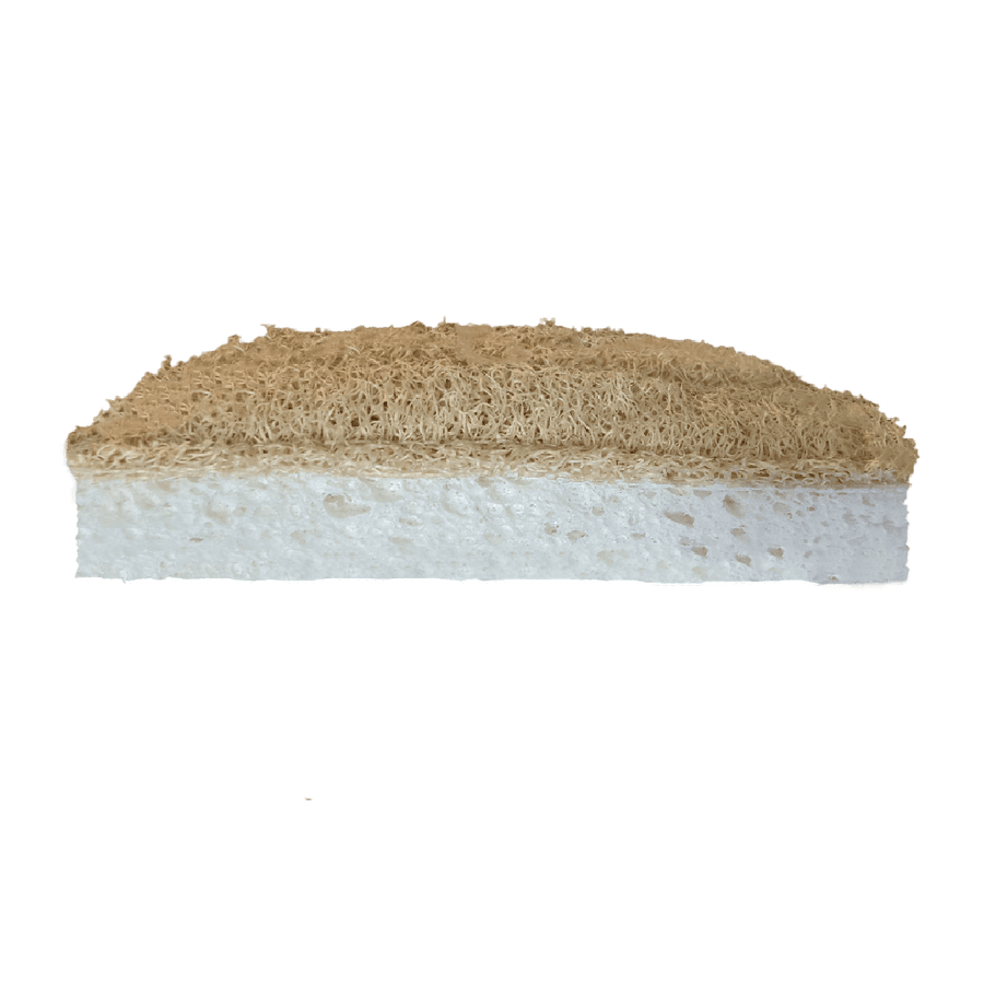 Two-Sided Eco-Sponge 2-Pack - Zero Waste Outlet